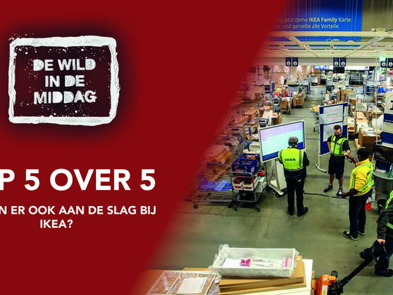 Top 5 over 5: Wie kan er ook aan de slag bij IKEA?