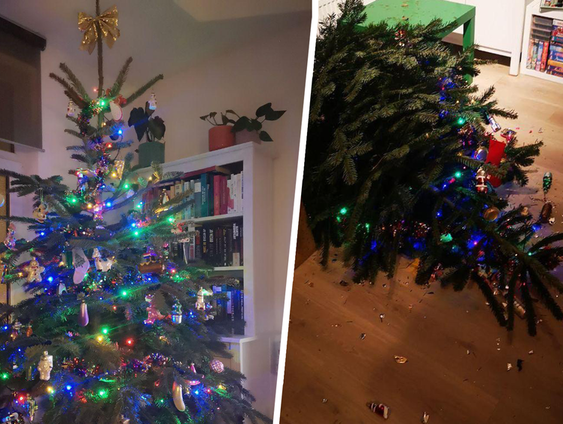 Luisteraar Maaike beleefde de nachtmerrie van elke kerstliefhebber