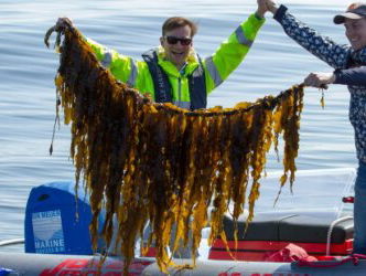 Zeewier Kweken is de toekomst!