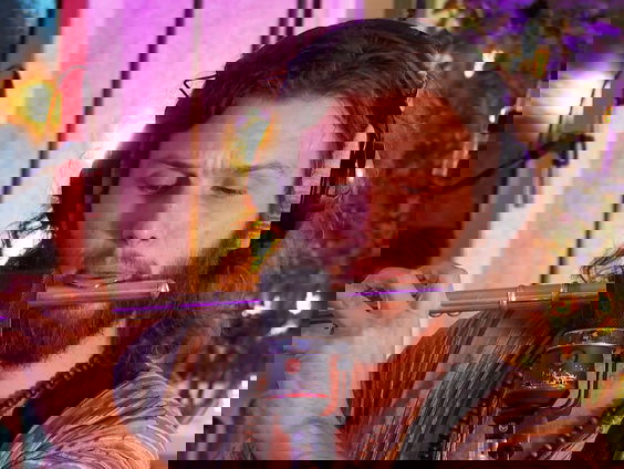 Komodo - Easy Prey (Live @ Giel)