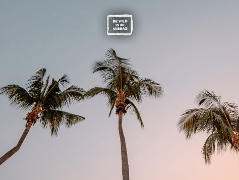 Wat ga jij dit weekend doen tijdens de coronacrisis? Blinding Lights - The Weeknd