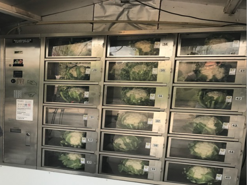 Bloemkool uit de muur