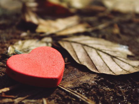 René geeft Susan een nier