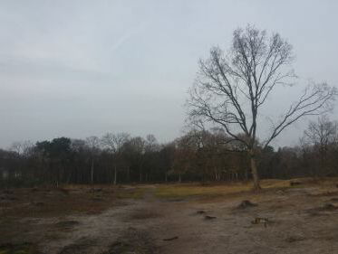 Ja hoor, nog een nieuwe politieke partij