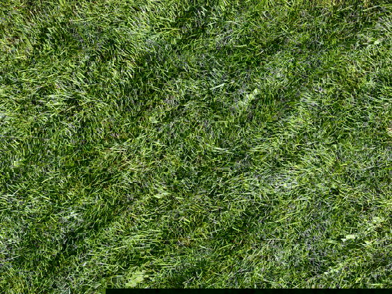 Inwoners Californië worden geadviseerd om gras uit hun tuin te halen