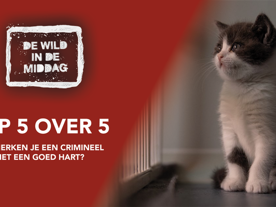 Top 5 over 5: Hoe herken je een crimineel met een goed hart?