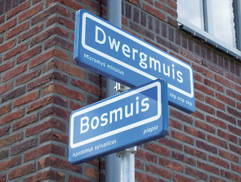 Wat is de meest gekke straatnaam?