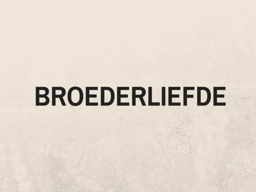 Broederliefde is geen ambassadeur meer van het Bevrijdingsfestival