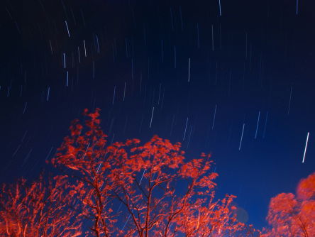 vallende sterren - Felix Betonville