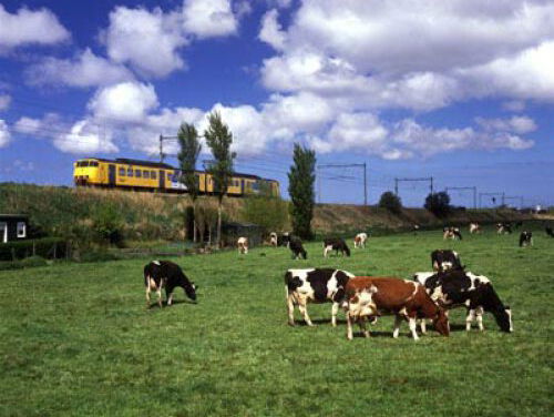 Reizersportret van een boer