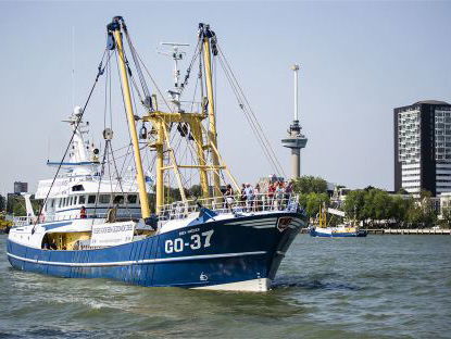 Rene Pluijm: eet bijvangst