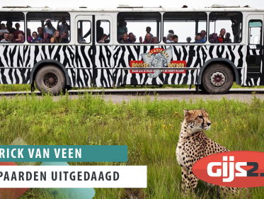 Bezoekers Beekse Bergen opgejaagd door luipaarden!