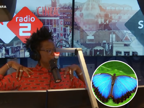 Is Shay's oma een vlinder?