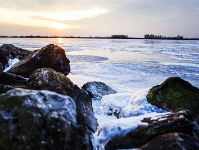 Iedereen krijgt applaus van De Wild in de Middag!