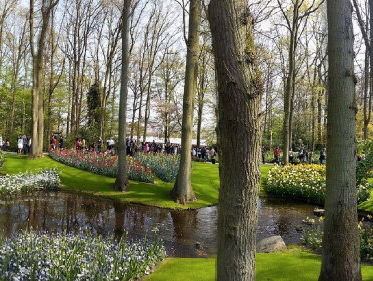 Rob de tuinman: oppassen voor de Japanse duizendknoop en stop met al die tegels in de tuin