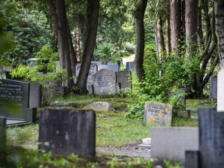 De natuurbegrafenis is hot!