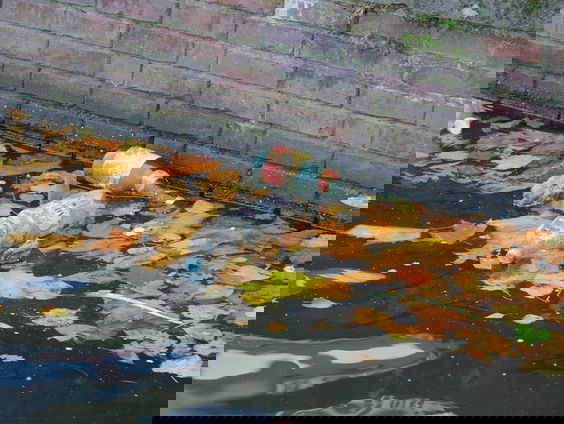 Sportvissers azen ook op zwerfafval