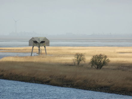 Doei Randstad, hallo krimpgebieden!