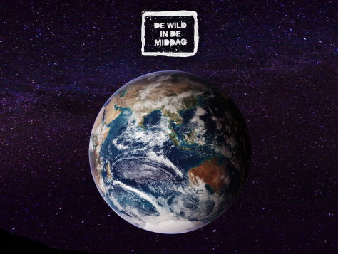 Save the world (coronaversie) - Swedish House Maffia