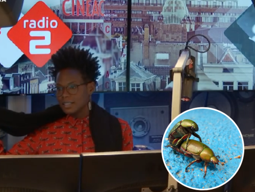 Deze drie Kama Sutra standjes zou jij ook moeten proberen