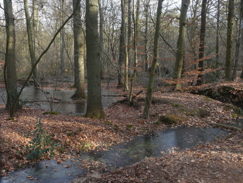 Zorgen over agressie tegen boswachters. Wat is de ervaring van Boswachter Tim?