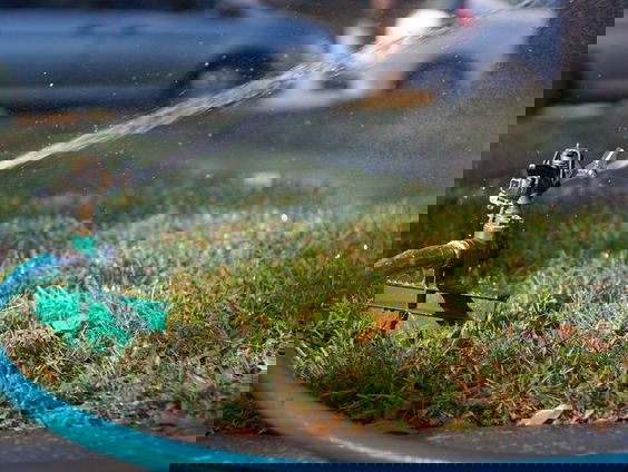 Begint extreme droogte in Nederland ieder jaar eerder?