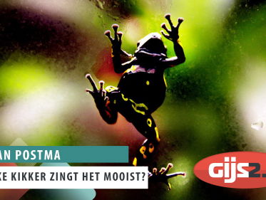 Zangtalenten stadskikker vs. boskikker