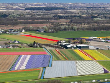 Ton van der Ham over landbouwgif als veroorzaker van parkinson