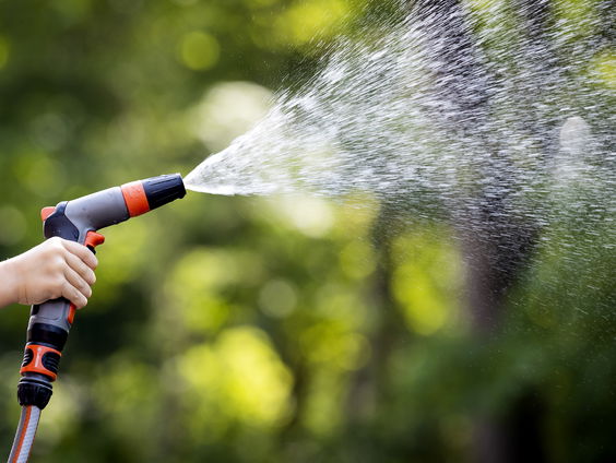 Hoe red je de tuin tijdens een hittegolf?