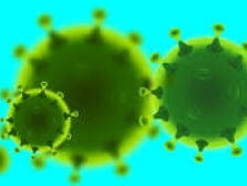 Winfried Baijens legt uit welke feiten & fabels over het coronavirus nog leven