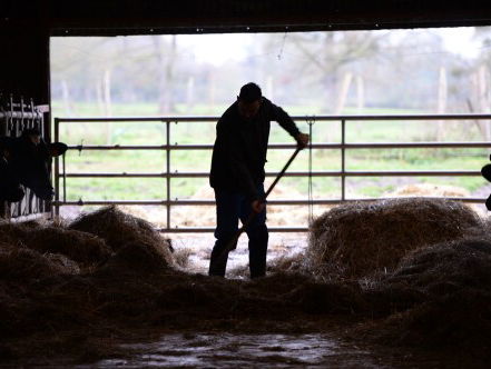 Steffi over het nieuwe seizoen Boer Zoekt Vrouw