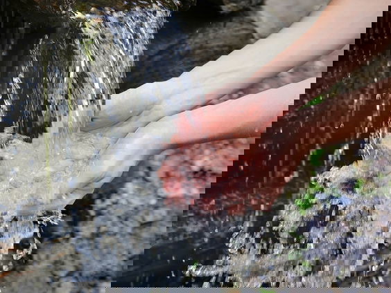 Vergeten kinderen hoe mooi de natuur is?