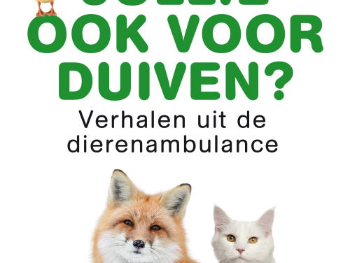 Annemiek van Kessel schreef 'Rijden jullie ook voor duiven?'