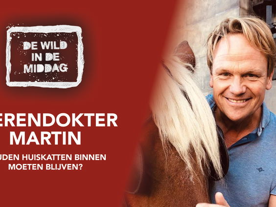 De Bond van Friese Vogelwachten wil een avondklok voor katten! Dierendokter Martin weet hier meer over..