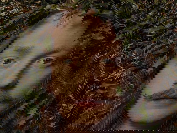 Aidan & the Wild - You Needn't Worry (Live @ Blokhuis)