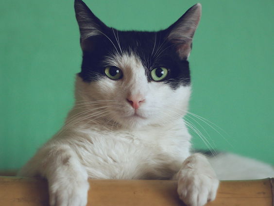 Luisteraar Gilbert komt op bijzondere wijze op Alle 13 thema