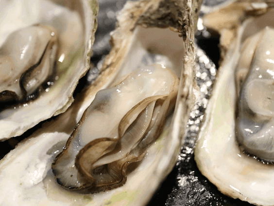 Shay! Veldbioloog Arthur Oosterbaan vertelt over een oester orgie