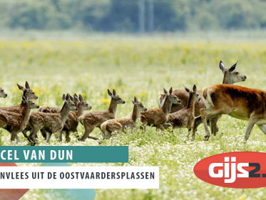 Wat gebeurt er met het vlees uit de Oostvaardersplassen?