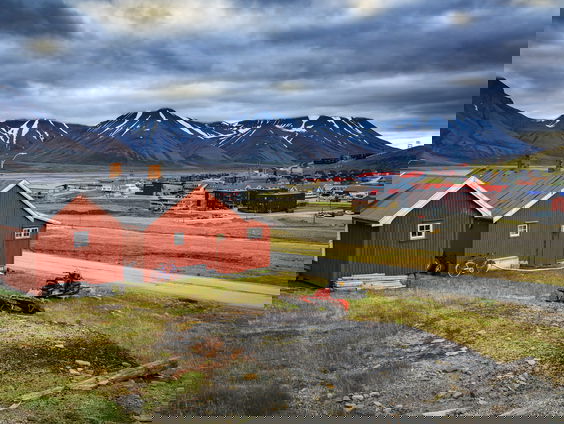 Bioloog Maarten Loonen begint zijn dag met 'ijsbeer les'