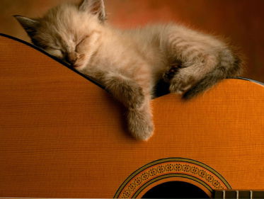 Ronald van Oers in Zeg Iets Liefs Met Een Lied