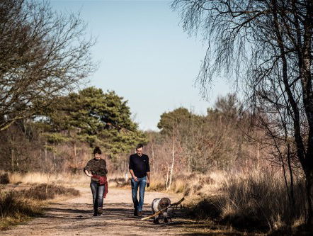 Wandelen en videobellen in de Psychische gezondheidszorg