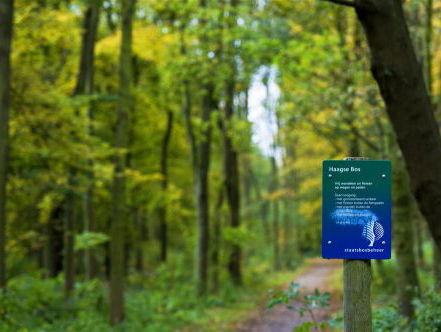 Boswachter Arjan over dingen meenemen uit het bos
