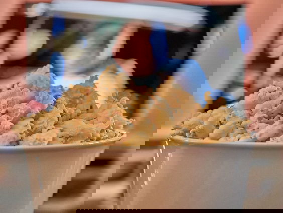 Bioscooprecord voor De Slag om de Schelde na versoepelingen: hoe kan dat?!