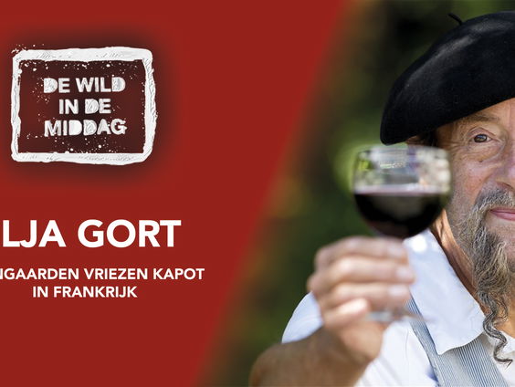 Ilja Gort: 'Boeren in Frankrijk verwarmen hun wijngaard met honderden vuurkorven'