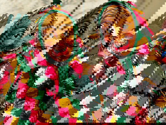 Carnavalscovers raden in de coverbak