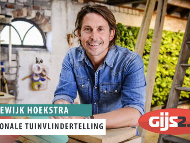 Dit weekend moet je vlinders tellen!