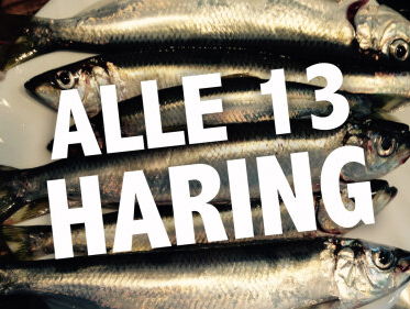 Alle 13 Haring