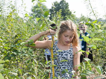3/6 - Tiny Forest binnen no-time niet zo klein meer