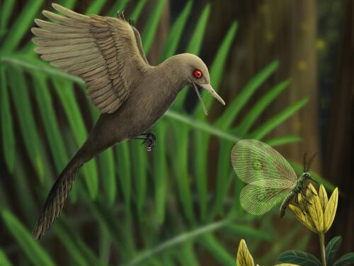 Huh?? Een dino zo klein als een kolibri?