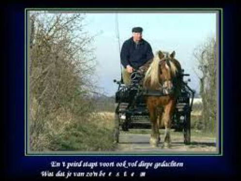 Blanche en zijn Peird - Willem Vermandere